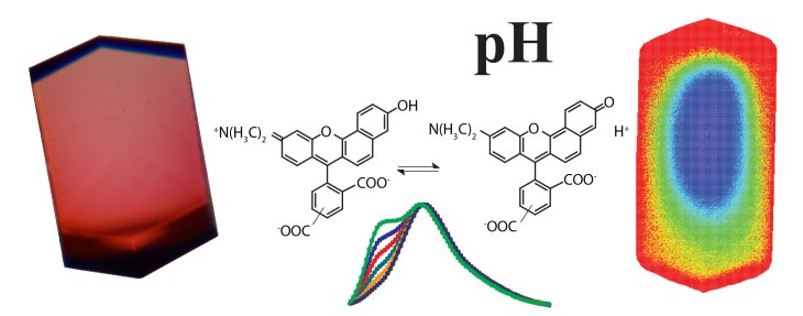 ph sensitive dyes 